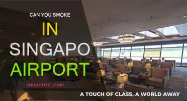 Smoking at Singapore Airport: What You Need to Know