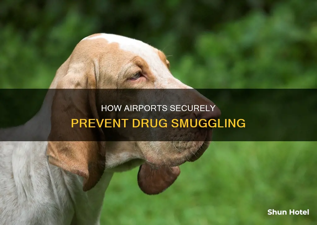 can you smuggle drugs at an airport