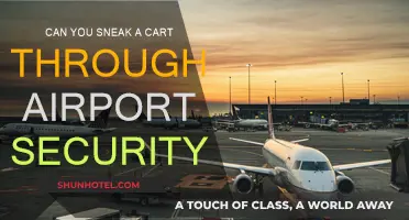 How to Sneak a Cart Past Airport Security