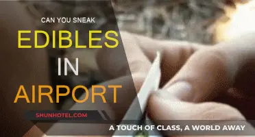 How to Travel with Edibles: Airport Edition