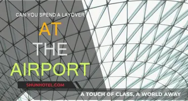 How to Spend a Layover: Exploring the Airport