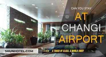 Exploring Changi Airport: An Overnight Stay
