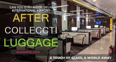 Exploring Delhi: Airport Layovers and Luggage Collection