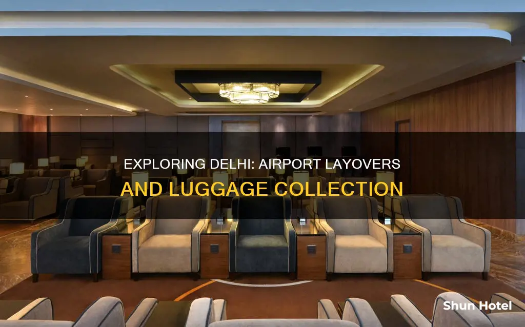 can you stay inside delhi international airport after colleccting luggage