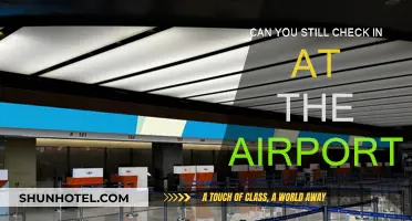 Checking in at the Airport: Is It Still Possible?