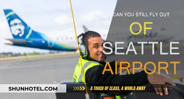 Seattle Airport: Open for Takeoff?