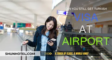 Visa on Arrival: Can You Get a Turkish Visa at the Airport?