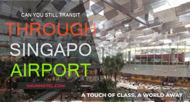 Singapore Airport Transit: What Are the Rules?