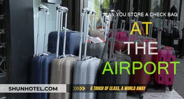 Storing Checked Bags: Airport Options