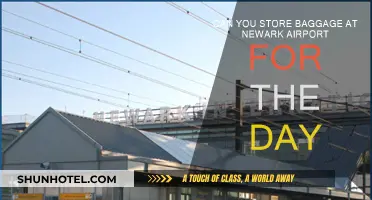 Newark Airport: Storing Baggage Securely for the Day