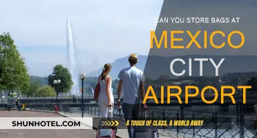 Mexico City Airport: Bag Storage Options