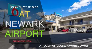 Exploring Bag Storage Options at Newark Airport