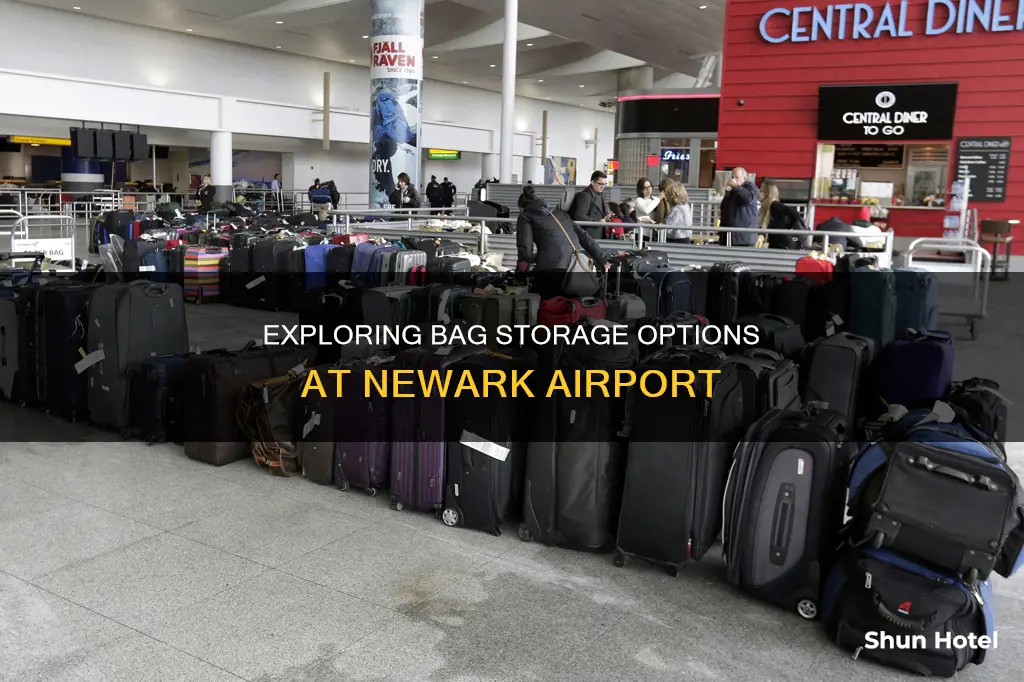 can you store bags at newark airport