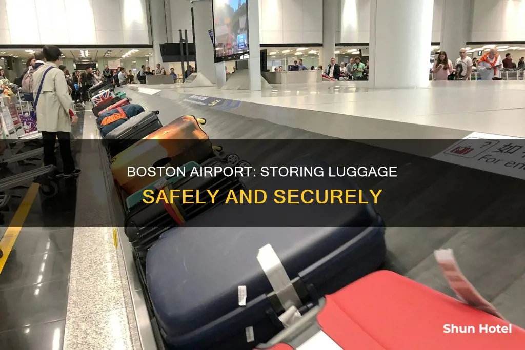 can you store luggage at airport boston