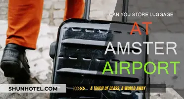 Amsterdam Airport: Luggage Storage Options