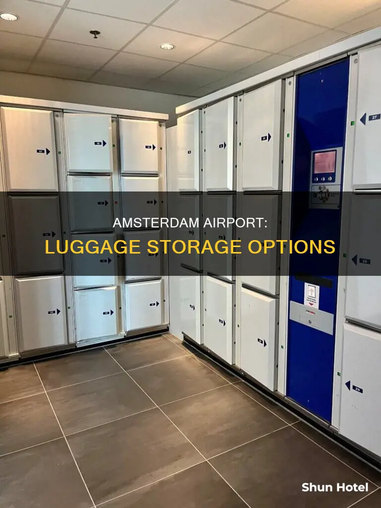can you store luggage at amsterdam airport