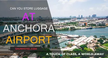 Anchorage Airport: Storing Luggage, Made Easy