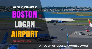 Boston Logan Airport: Storing Your Luggage