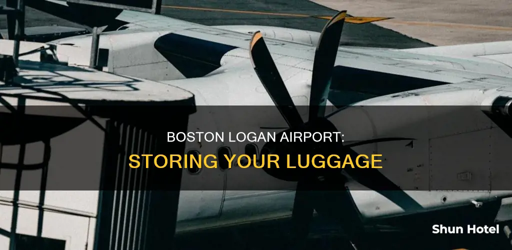 can you store luggage at boston logan airport