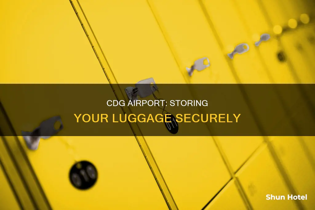 can you store luggage at cdg airport