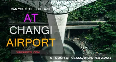 Changi Airport: Storing Your Luggage Safely