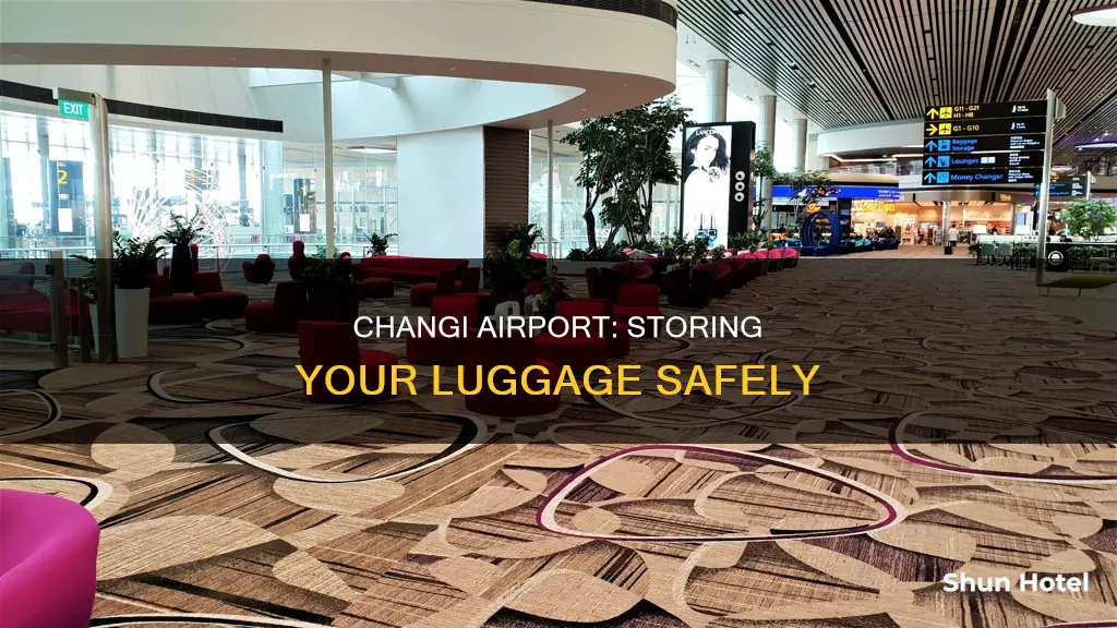 can you store luggage at changi airport