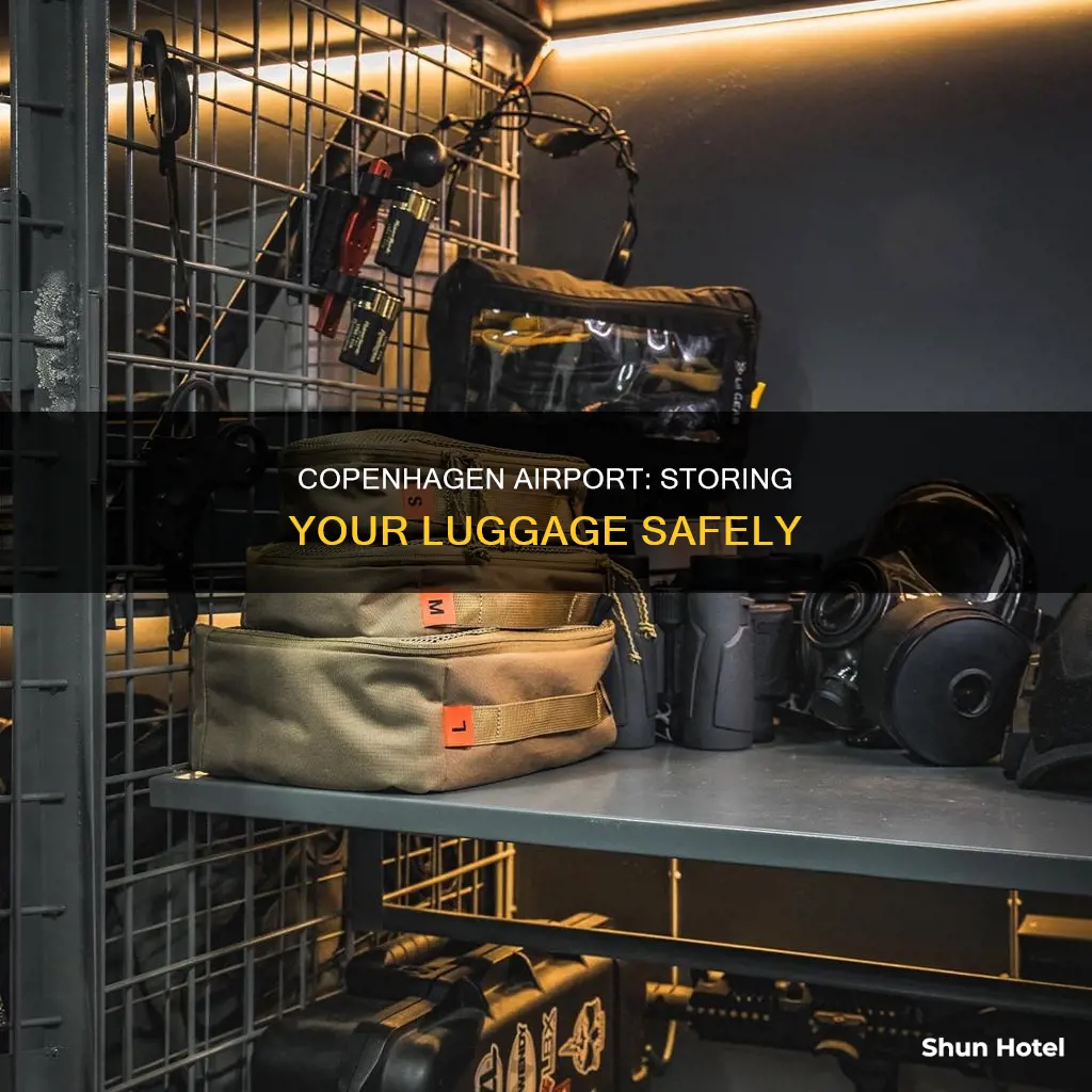 can you store luggage at copenhagen airport