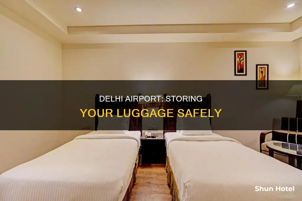 can you store luggage at delhi airport