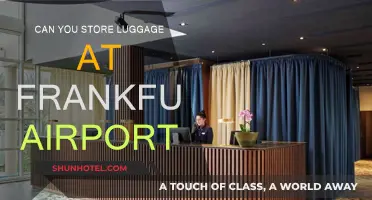 Frankfurt Airport: Storing Your Luggage Safely