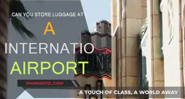 LAX Luggage Storage: Where to Keep Your Bags?