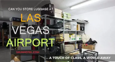 Las Vegas Airport: Storing Luggage