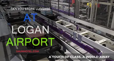 Exploring Logan Airport's Luggage Storage Options