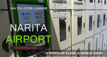 Storing Luggage at Narita Airport: Is it Possible?