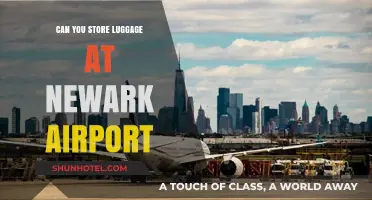 Exploring Newark Airport's Luggage Storage Options