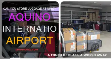 Ninoy Aquino International Airport: Luggage Storage Options