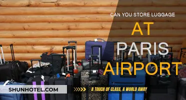 Exploring Luggage Storage Options at Paris Airports