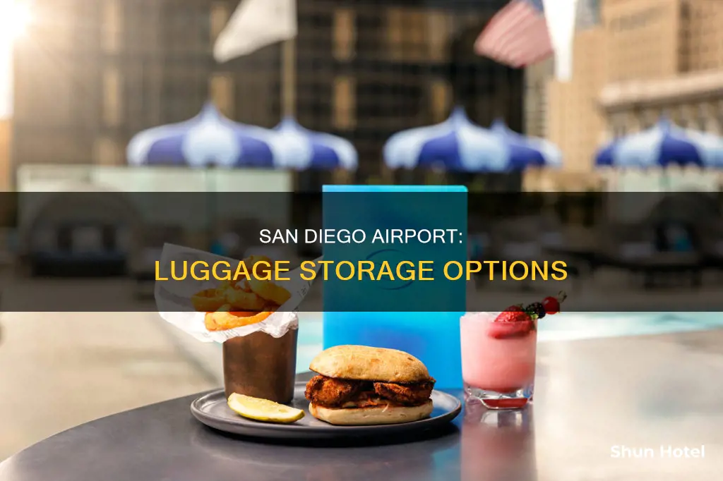 can you store luggage at san diego airport