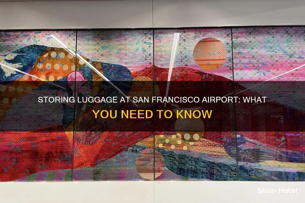 can you store luggage at san francisco airport