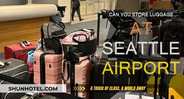 Storing Luggage: Seattle Airport Options