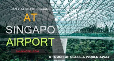 Singapore Airport: Storing Luggage Safely and Securely
