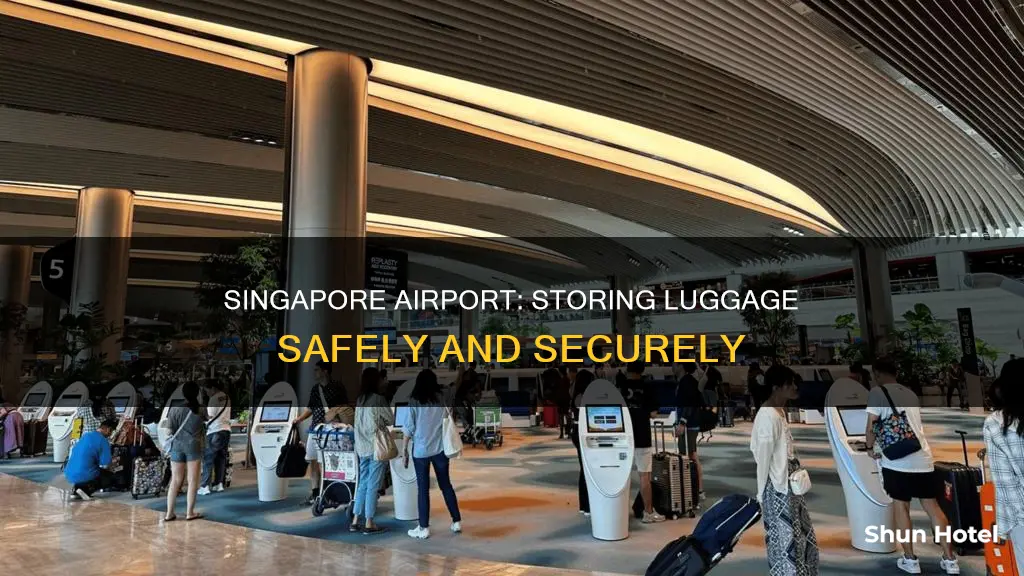 can you store luggage at singapore airport