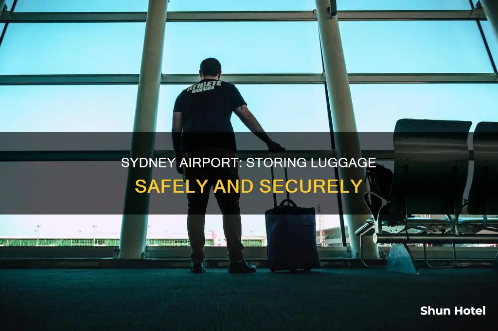 can you store luggage at sydney airport