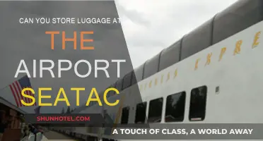 Storing Luggage at Seattle Airport: Where and How?