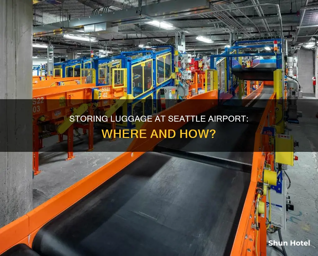 can you store luggage at the airport seatac
