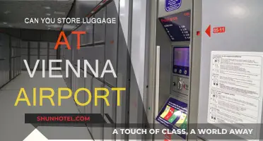 Vienna Airport: Storing Your Luggage Safely