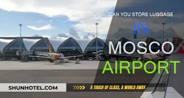 Storing Luggage at Moscow Airport: Is It Possible?
