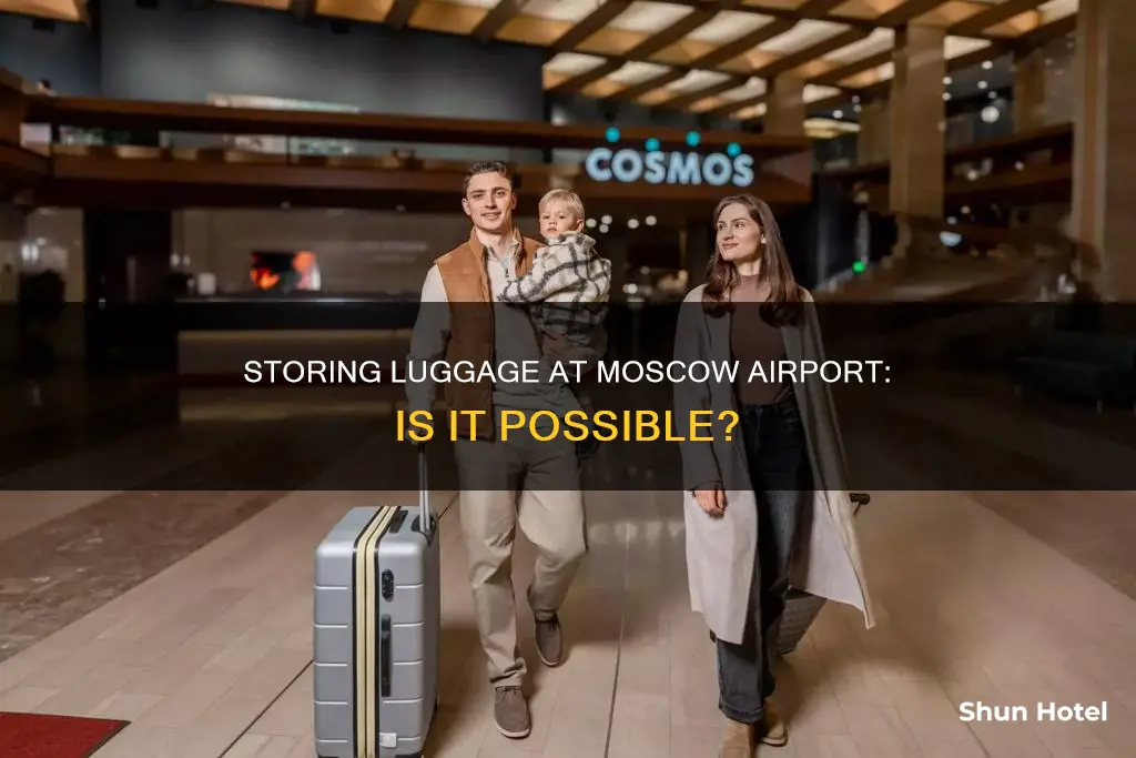 can you store luggage in moscow airport