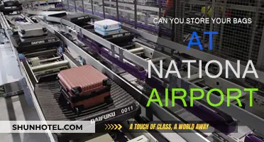 Bag Storage at National Airport: Is it Possible?