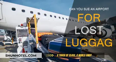 Lost Luggage: Can You Sue the Airport?