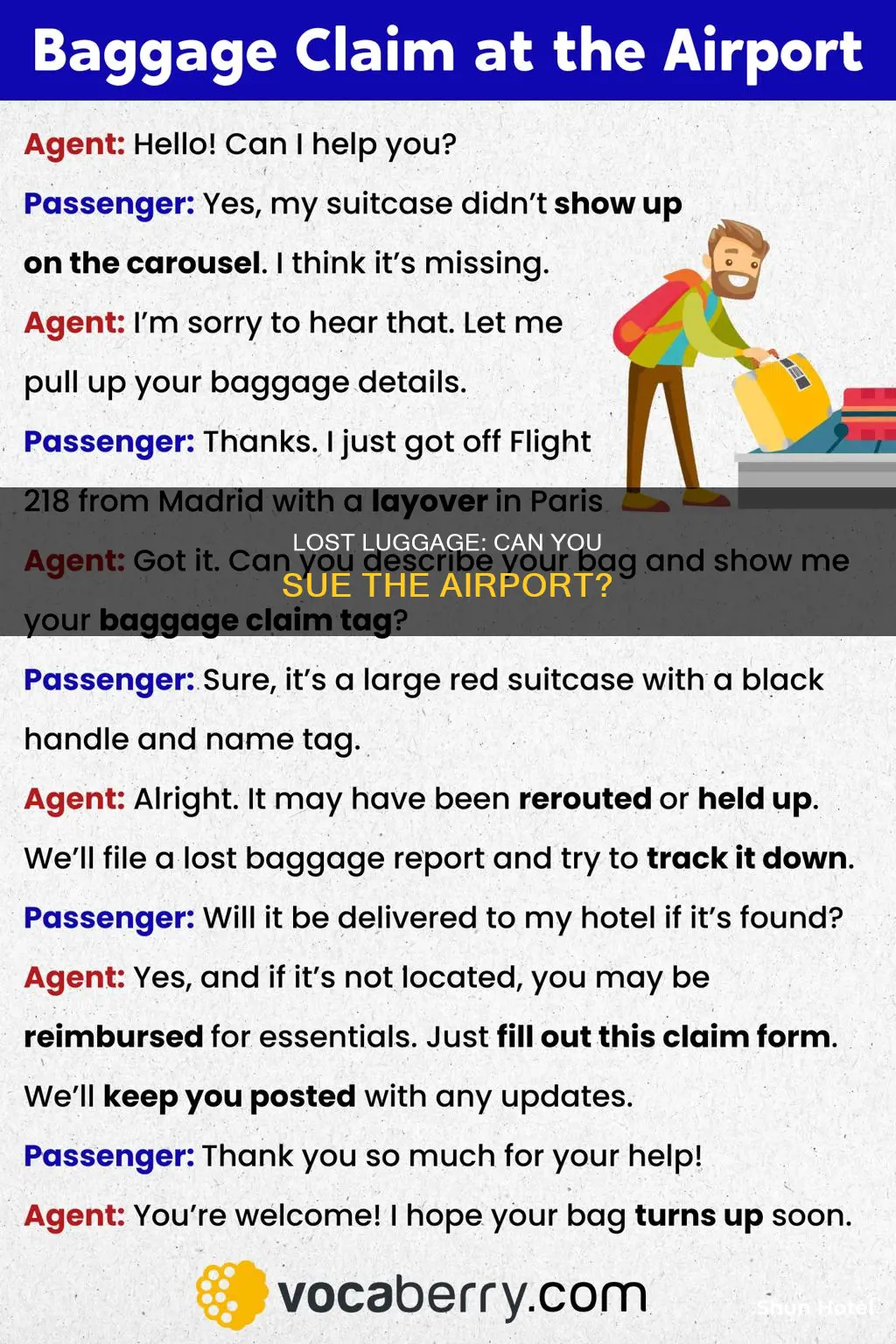 can you sue an airport for lost luggage
